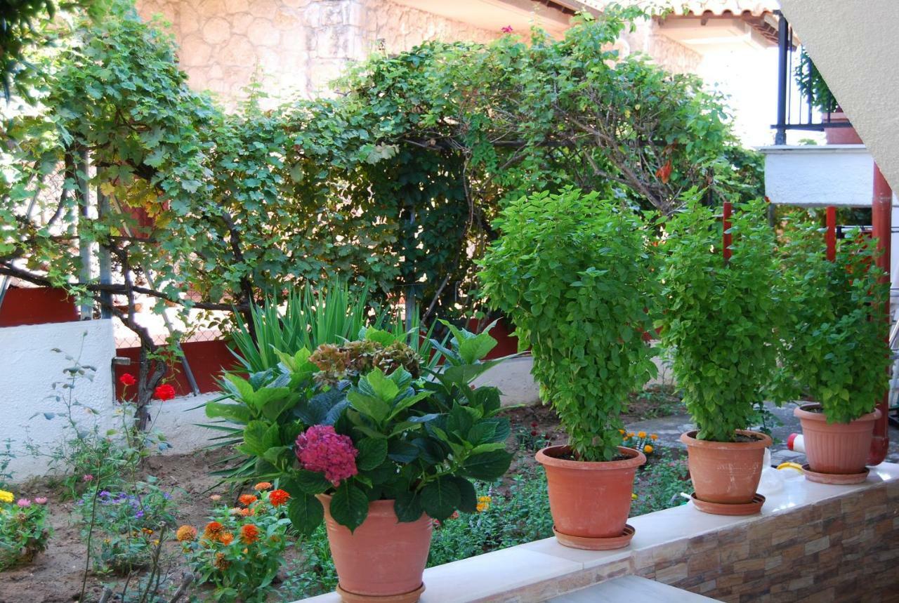 Appart hôtel Nastasia *