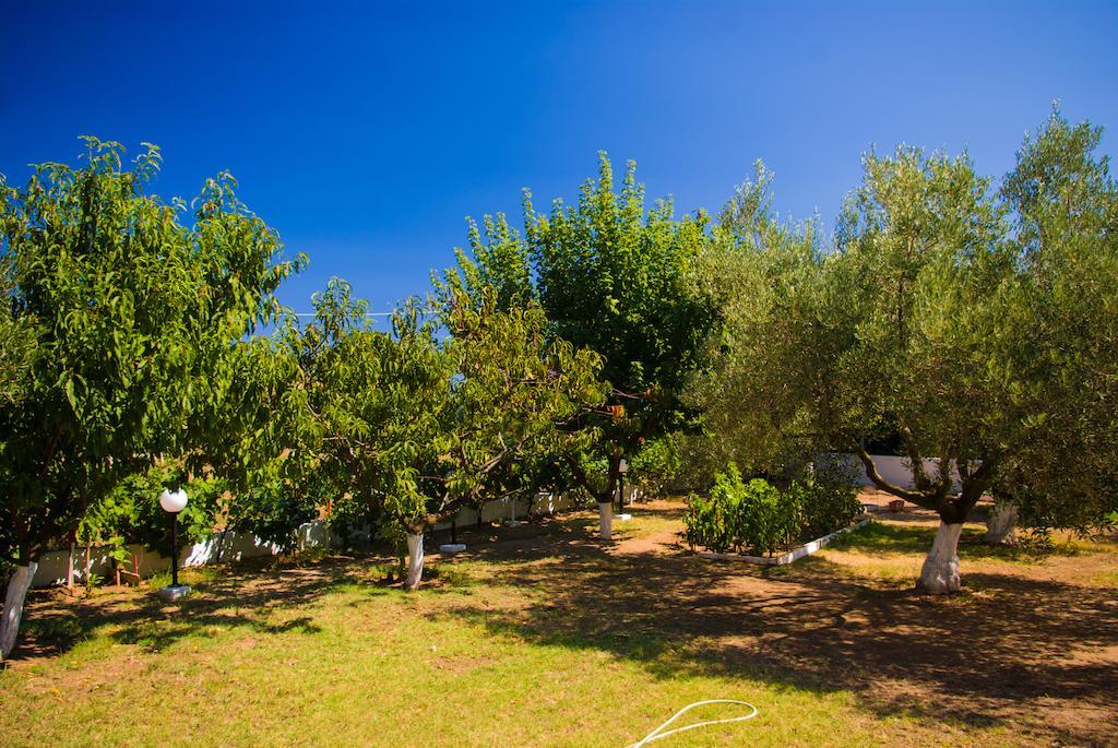 Nastasia Aparthotel *